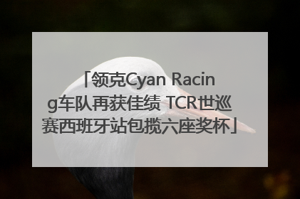 领克Cyan Racing车队再获佳绩 TCR世巡赛西班牙站包揽六座奖杯