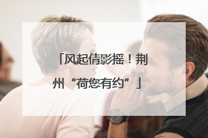 风起倩影摇！荆州“荷您有约”
