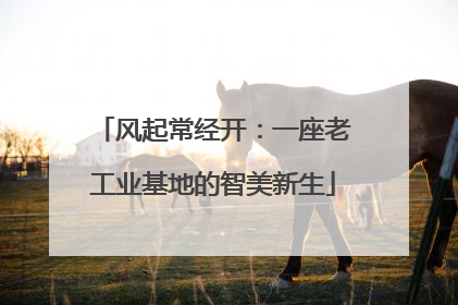 风起常经开：一座老工业基地的智美新生
