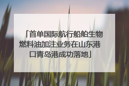 首单国际航行船舶生物燃料油加注业务在山东港口青岛港成功落地