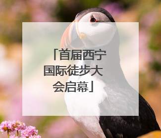 首届西宁国际徒步大会启幕