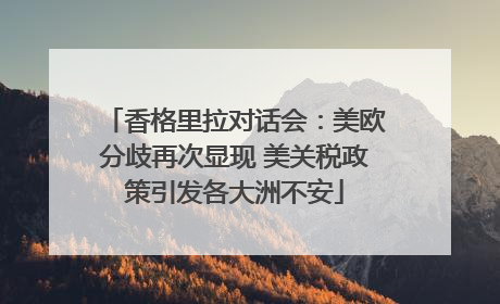 香格里拉对话会：美欧分歧再次显现 美关税政策引发各大洲不安