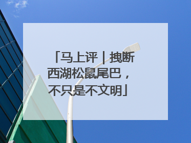 马上评｜拽断西湖松鼠尾巴，不只是不文明