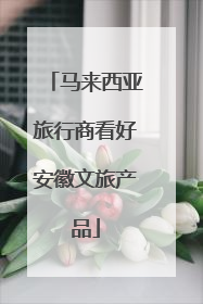 马来西亚旅行商看好安徽文旅产品