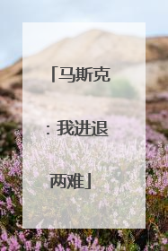 马斯克：我进退两难