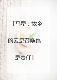 马星：故乡的云是召唤也是责任