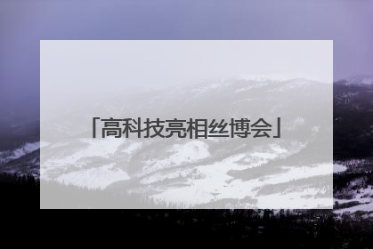 高科技亮相丝博会