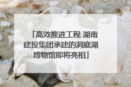 高效推进工程 湖南建投集团承建的洞庭湖博物馆即将亮相