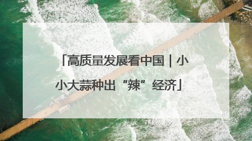 高质量发展看中国｜小小大蒜种出“辣”经济