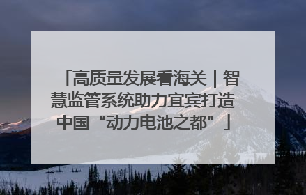 高质量发展看海关｜智慧监管系统助力宜宾打造中国“动力电池之都”