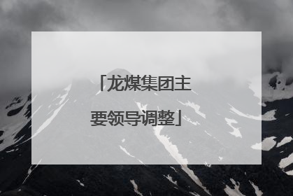 龙煤集团主要领导调整