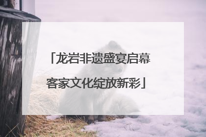 龙岩非遗盛宴启幕 客家文化绽放新彩