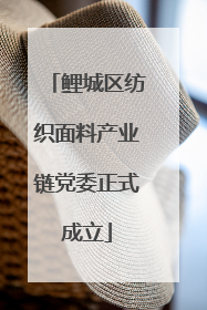 鲤城区纺织面料产业链党委正式成立