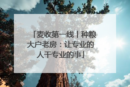 麦收第一线丨种粮大户老房：让专业的人干专业的事
