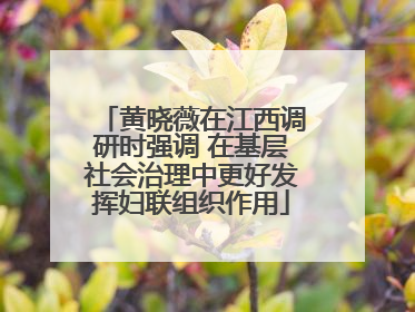 黄晓薇在江西调研时强调 在基层社会治理中更好发挥妇联组织作用
