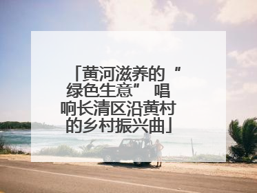 黄河滋养的“绿色生意” 唱响长清区沿黄村的乡村振兴曲