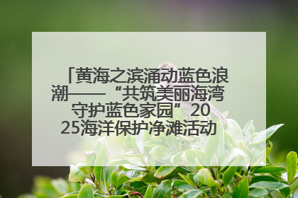 黄海之滨涌动蓝色浪潮——“共筑美丽海湾 守护蓝色家园”2025海洋保护净滩活动暨“美丽江苏—江河湖海青蓝行”海洋篇在连云港举行