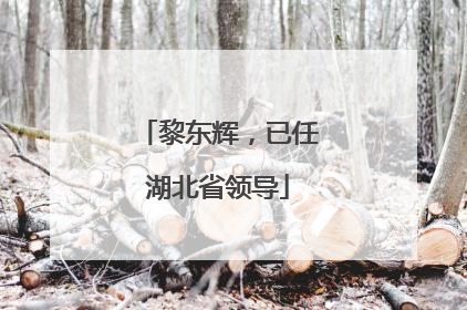黎东辉，已任湖北省领导