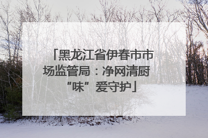 黑龙江省伊春市市场监管局：净网清厨 “味”爱守护