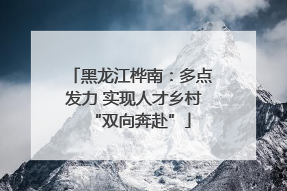 黑龙江桦南：多点发力 实现人才乡村“双向奔赴”