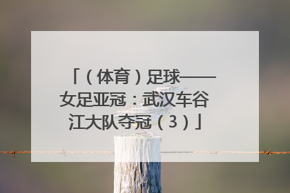 （体育）足球——女足亚冠：武汉车谷江大队夺冠（3）