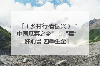 （乡村行·看振兴）“中国瓜菜之乡”：“莓”好前景 四季生金