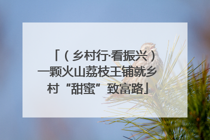 （乡村行·看振兴）一颗火山荔枝王铺就乡村“甜蜜”致富路