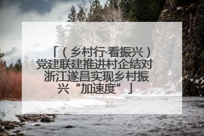 （乡村行·看振兴）党建联建推进村企结对 浙江遂昌实现乡村振兴“加速度”