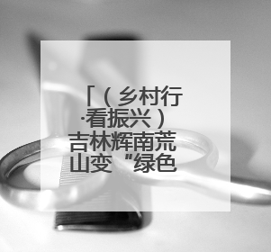 （乡村行·看振兴）吉林辉南荒山变“绿色银行” 绿水青山有“钱景”