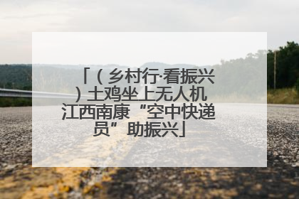 （乡村行·看振兴）土鸡坐上无人机 江西南康“空中快递员”助振兴