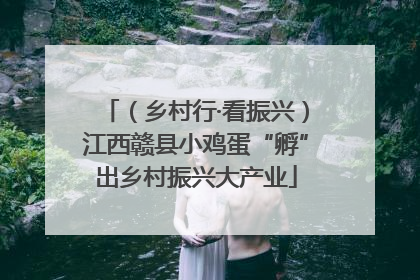 （乡村行·看振兴）江西赣县小鸡蛋“孵”出乡村振兴大产业