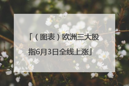 （图表）欧洲三大股指6月3日全线上涨
