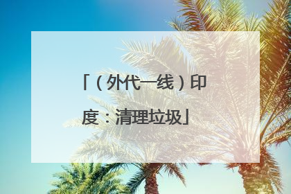 （外代一线）印度：清理垃圾