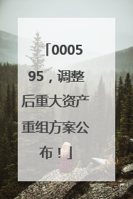 000595，调整后重大资产重组方案公布！