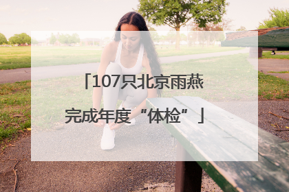 107只北京雨燕完成年度“体检”