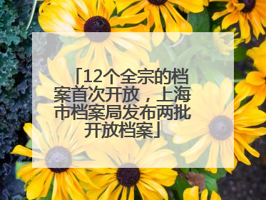 12个全宗的档案首次开放，上海市档案局发布两批开放档案