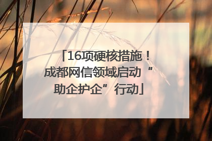 16项硬核措施！成都网信领域启动“助企护企”行动