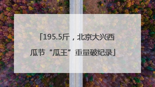 195.5斤，北京大兴西瓜节“瓜王”重量破纪录