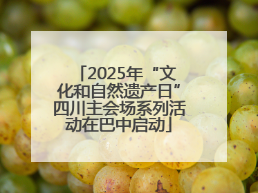 2025年“文化和自然遗产日”四川主会场系列活动在巴中启动