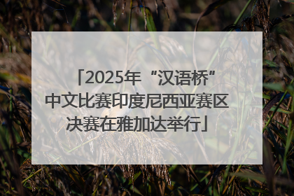 2025年“汉语桥”中文比赛印度尼西亚赛区决赛在雅加达举行