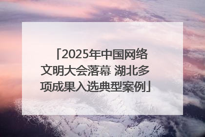 2025年中国网络文明大会落幕 湖北多项成果入选典型案例