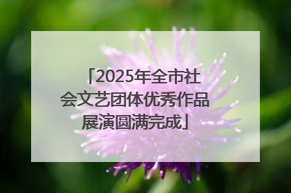 2025年全市社会文艺团体优秀作品展演圆满完成