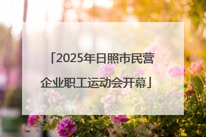 2025年日照市民营企业职工运动会开幕