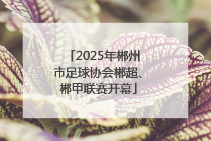 2025年郴州市足球协会郴超、郴甲联赛开幕