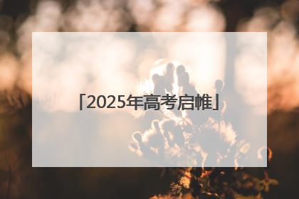 2025年高考启帷
