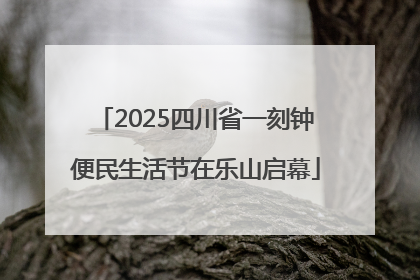 2025四川省一刻钟便民生活节在乐山启幕