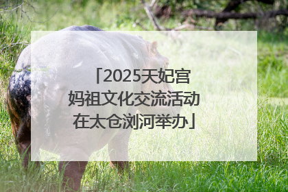 2025天妃宫妈祖文化交流活动在太仓浏河举办