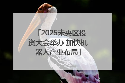 2025未央区投资大会举办 加快机器人产业布局