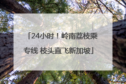 24小时！岭南荔枝乘专线 枝头直飞新加坡