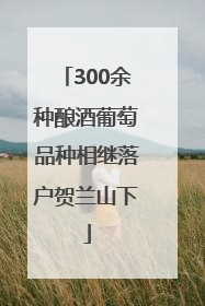 300余种酿酒葡萄品种相继落户贺兰山下